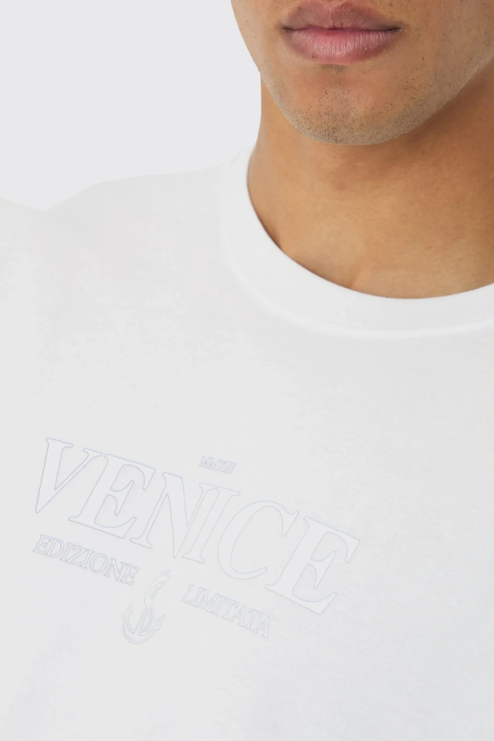Regular Fit Venice Graphic T-Shirt | BoohooMAN UK